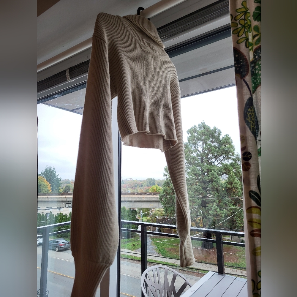 Cropped turtleneck sweater